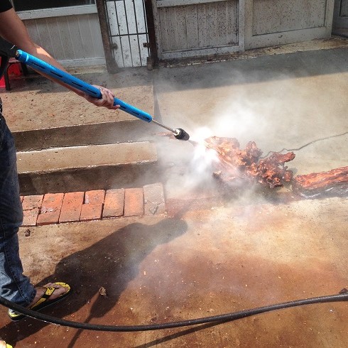 根雕清洗機高壓清洗機 高壓水槍